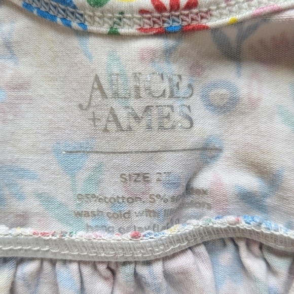 Alice + Ames Tank Ballet Dress in Fantastical Floral - Size 2T - Picture 4 of 5